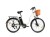 rower-elektryczny-dyu-c6-350w-125ah-26-25-kmh-zasieg-maksymalny-70km-bialy (1).jpg